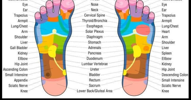 Reflexology